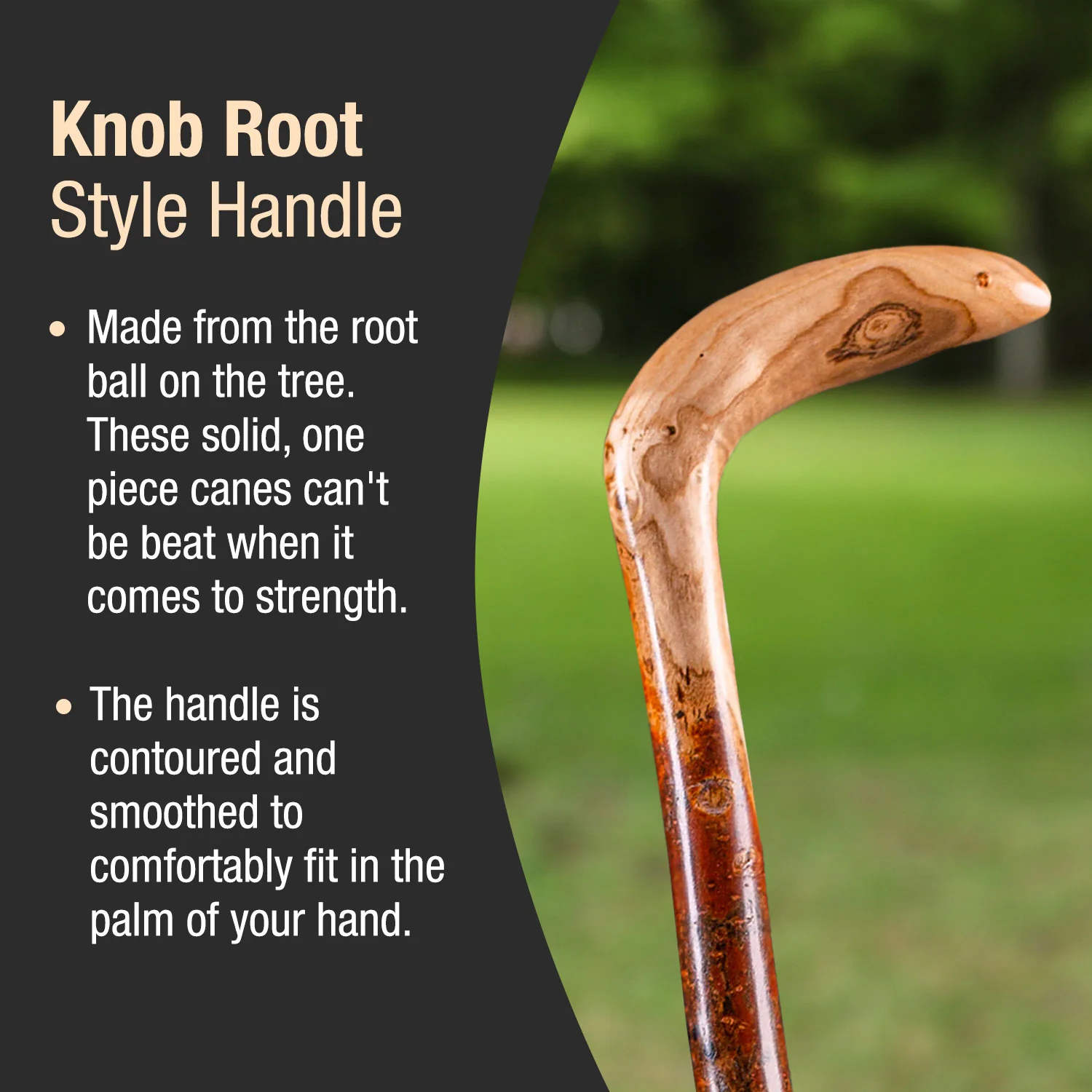 Assorted Hardwood Root Rustic Walking Cane - Image 3