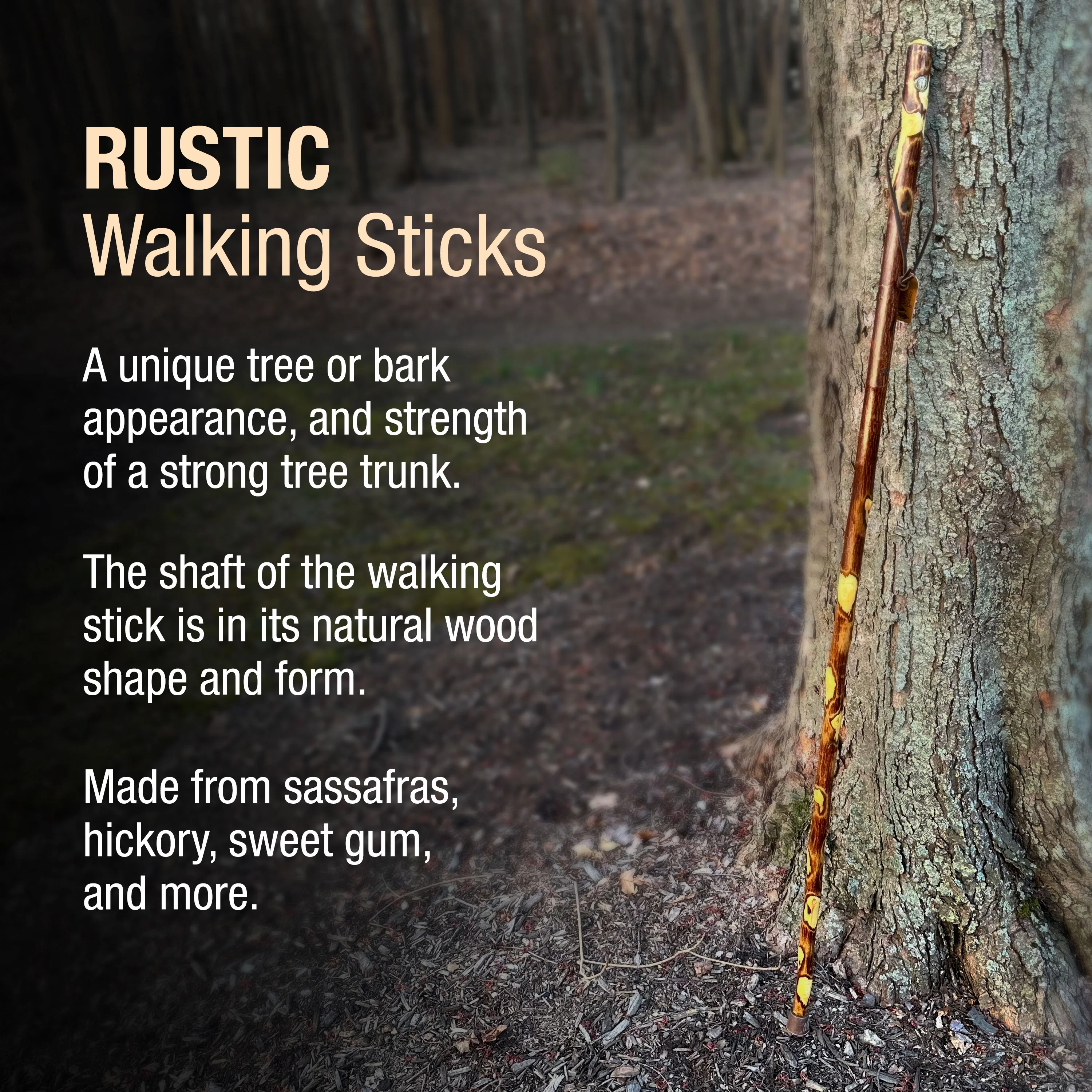 Hawthorn Rustic Walking Stick - Image 4