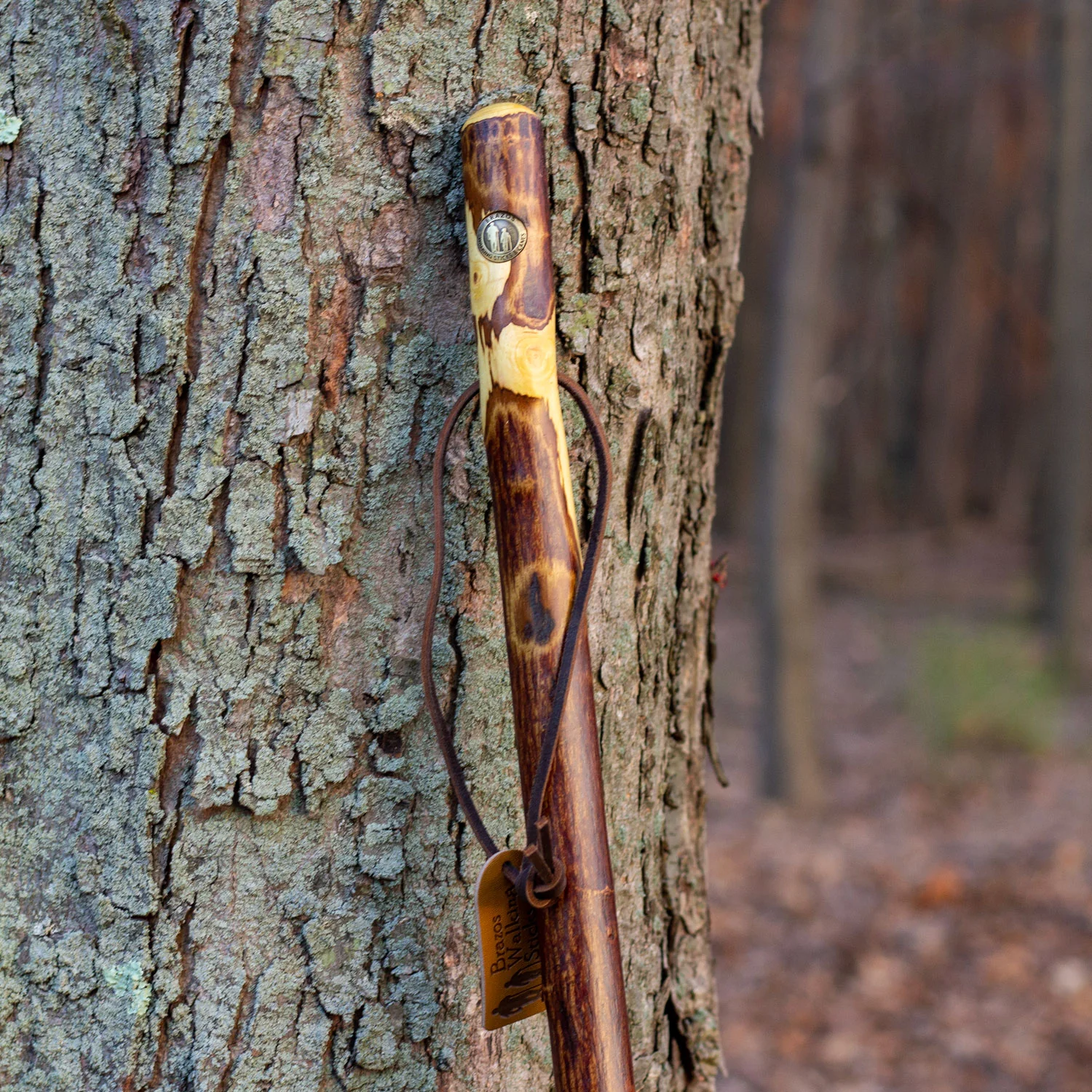 Hawthorn Rustic Walking Stick - Image 6