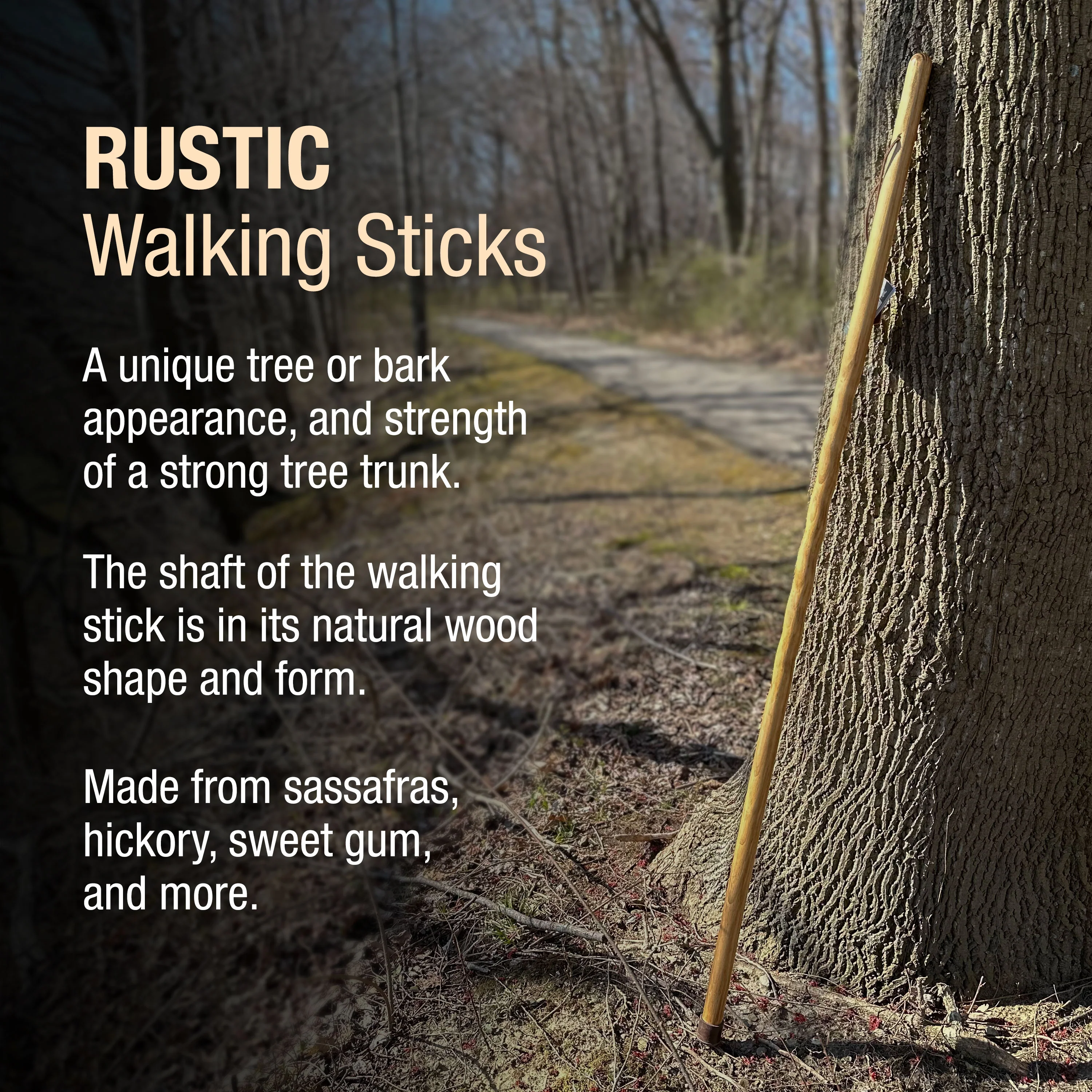 Iron Bamboo Rustic Walking Stick - Image 4
