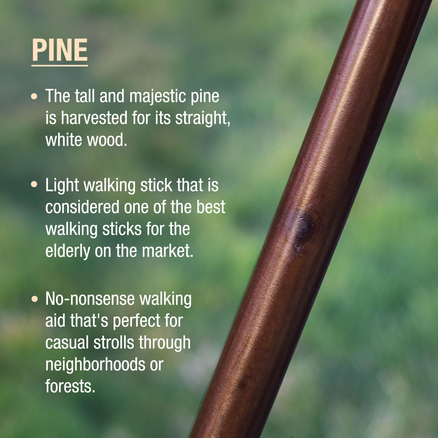 Traditional Straight Pine Handcrafted Walking Stick - Image 2