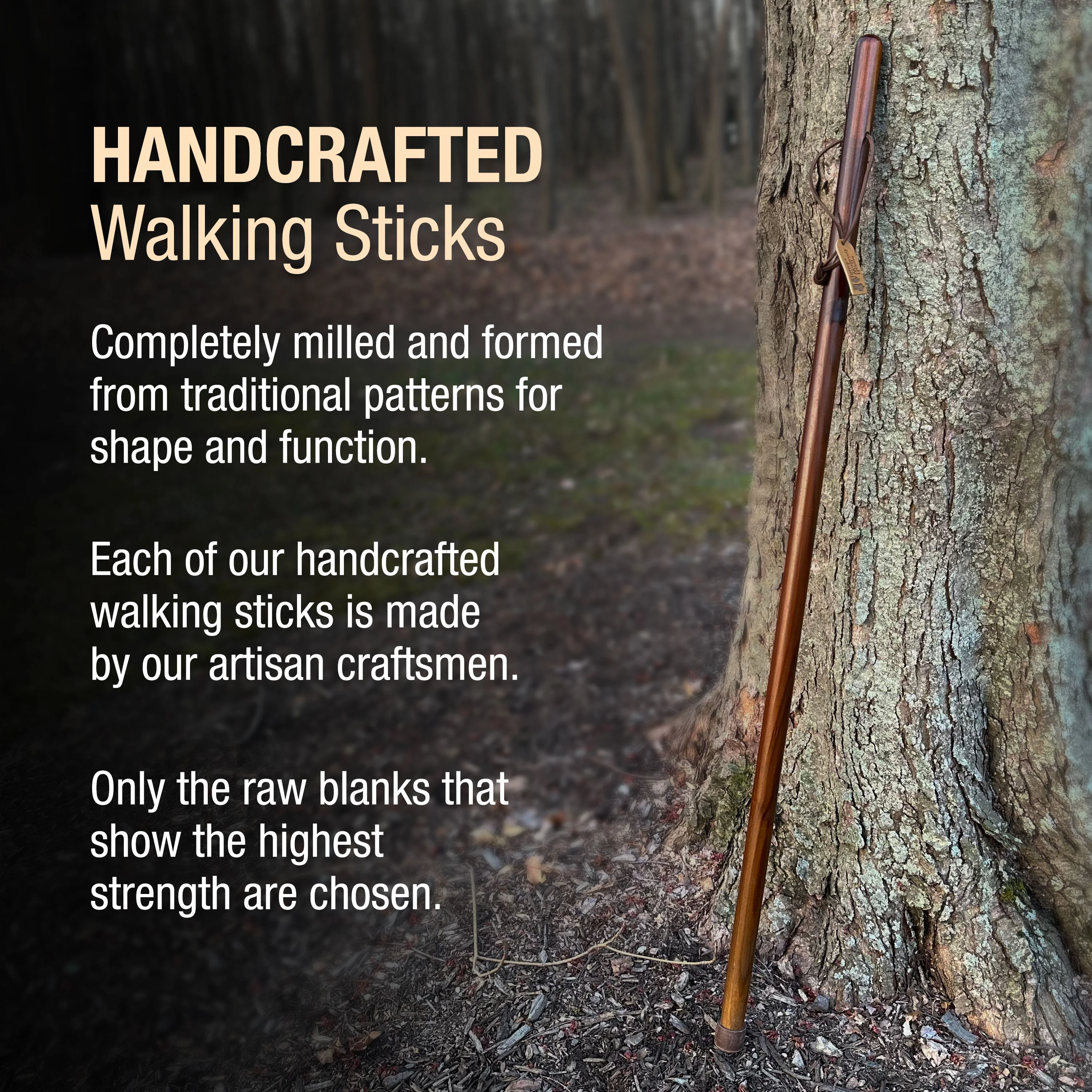 Traditional Straight Pine Handcrafted Walking Stick - Image 5