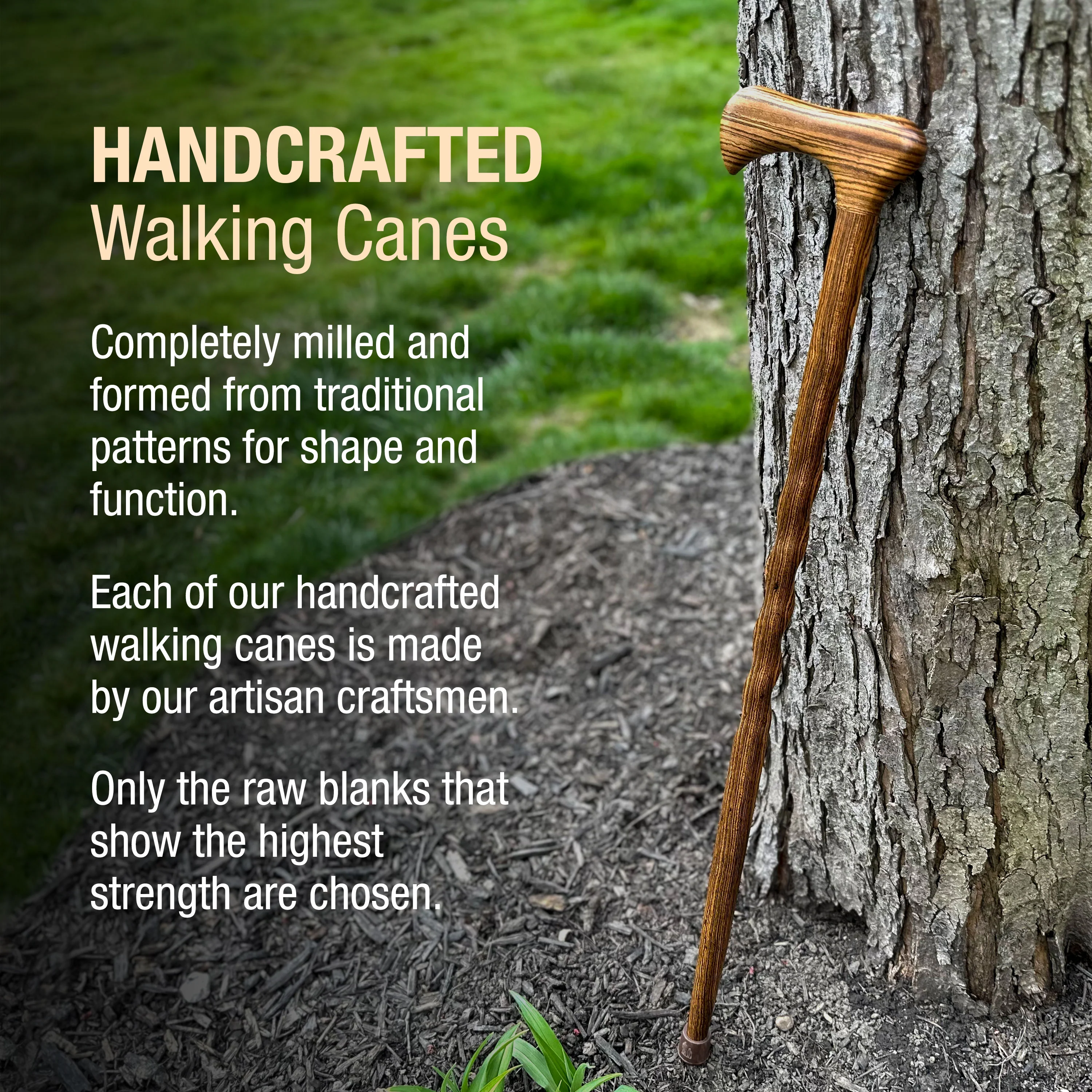 Twisted Bocote Traditional Handcrafted Walking Cane 37" - Image 4