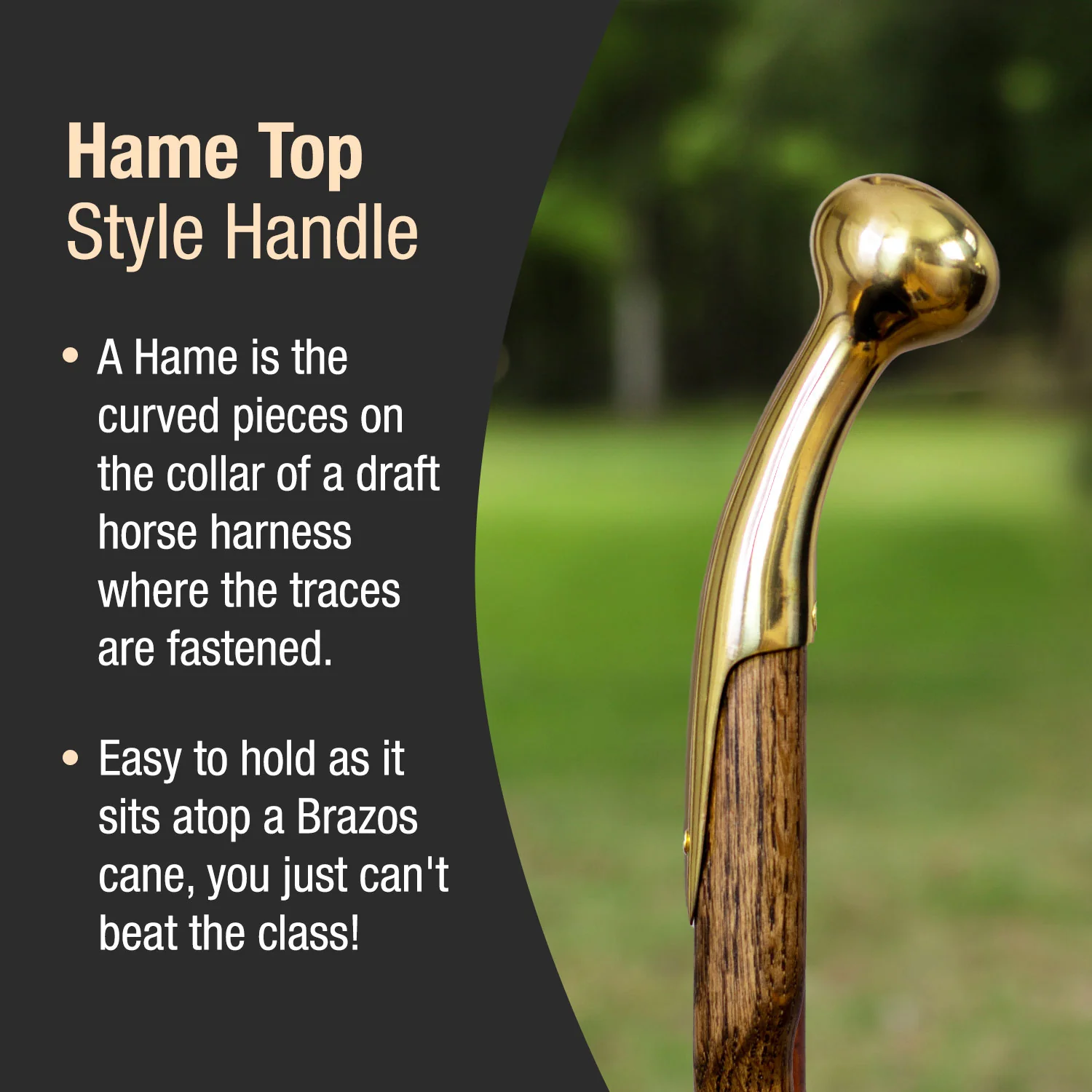 Twisted Brown Oak Hame Top Handcrafted Walking Cane 37" - Image 3