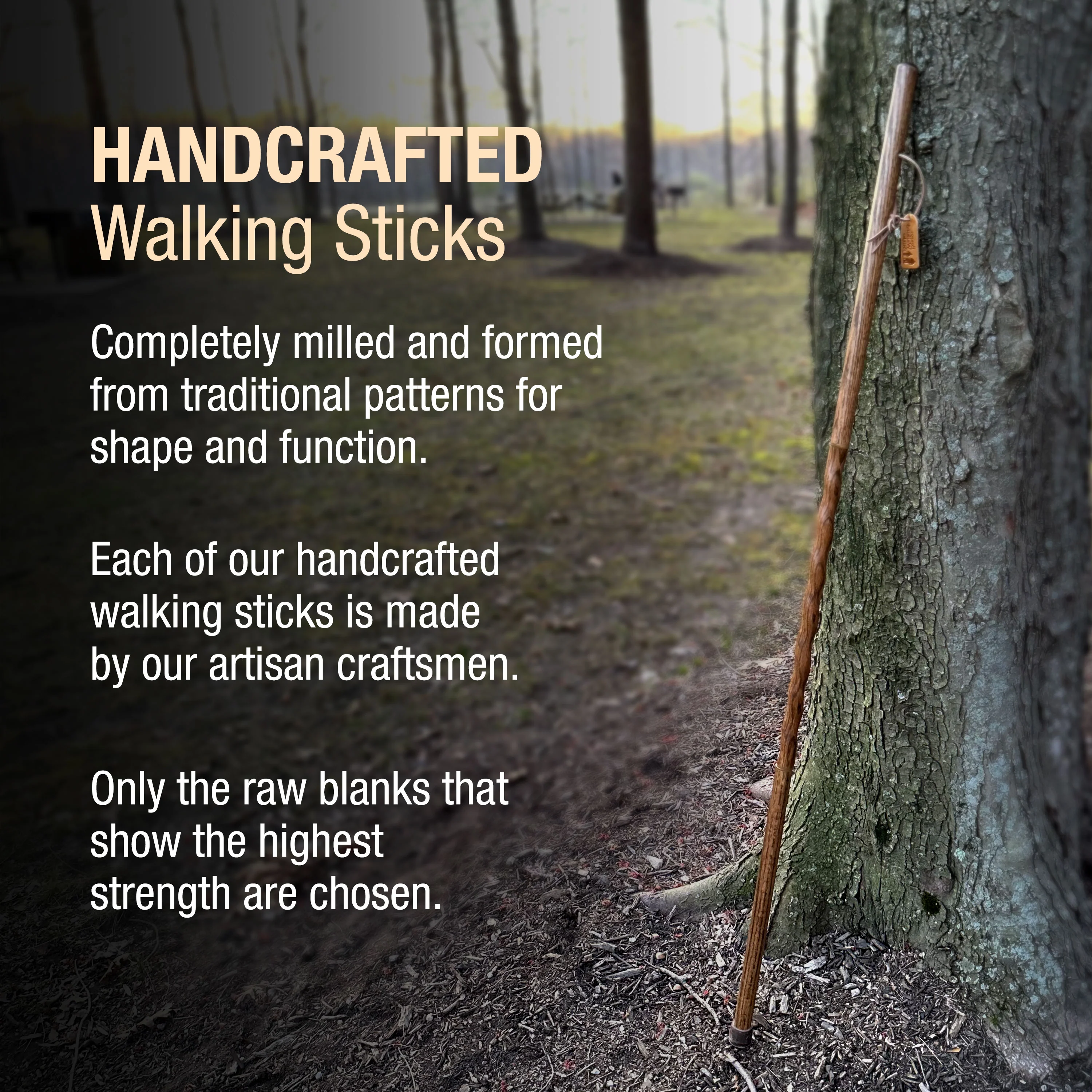 Twisted Oak Traveler's Handcrafted Walking Stick 55" - Image 7