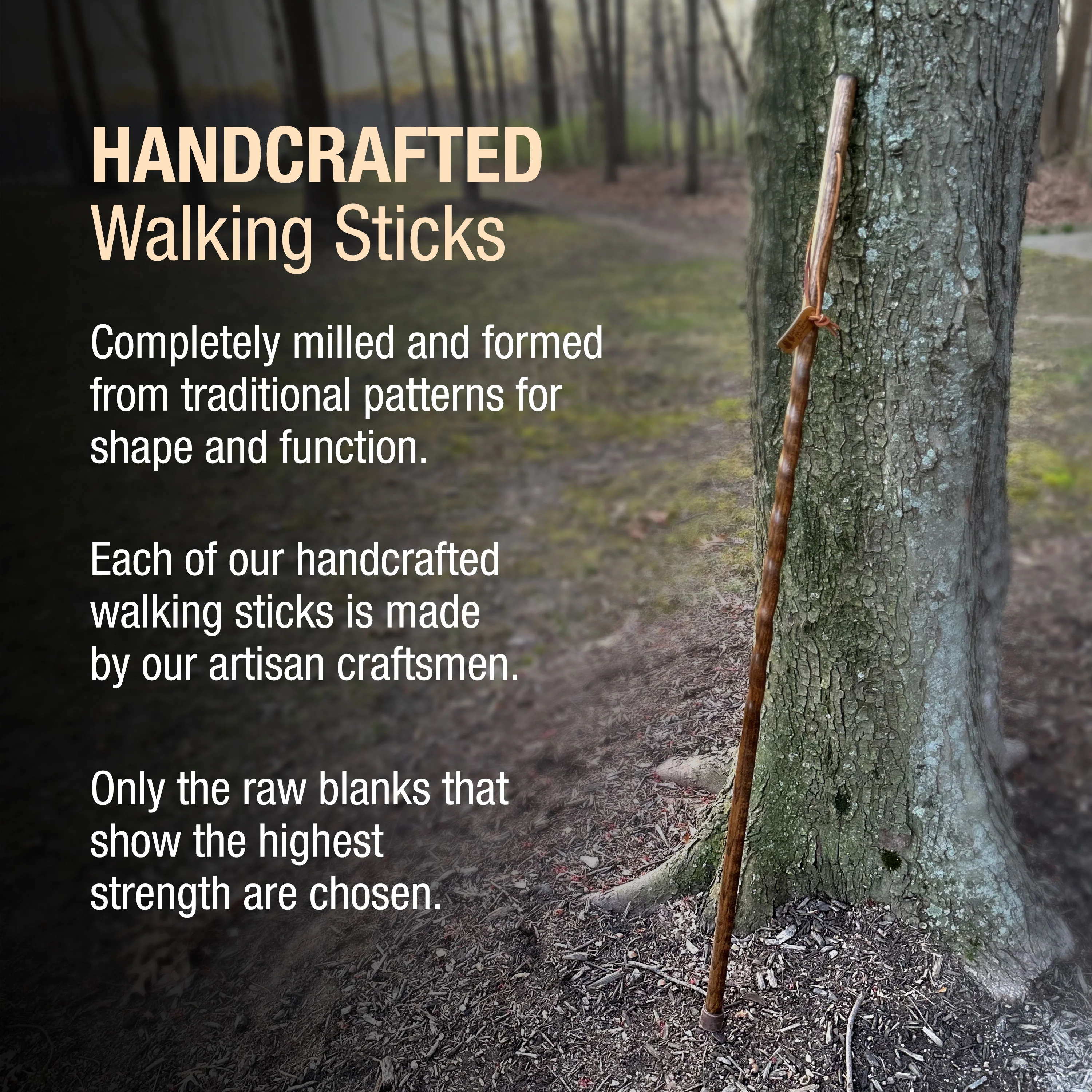 Twisted Oak Trekker Handcrafted Walking Stick - Image 6