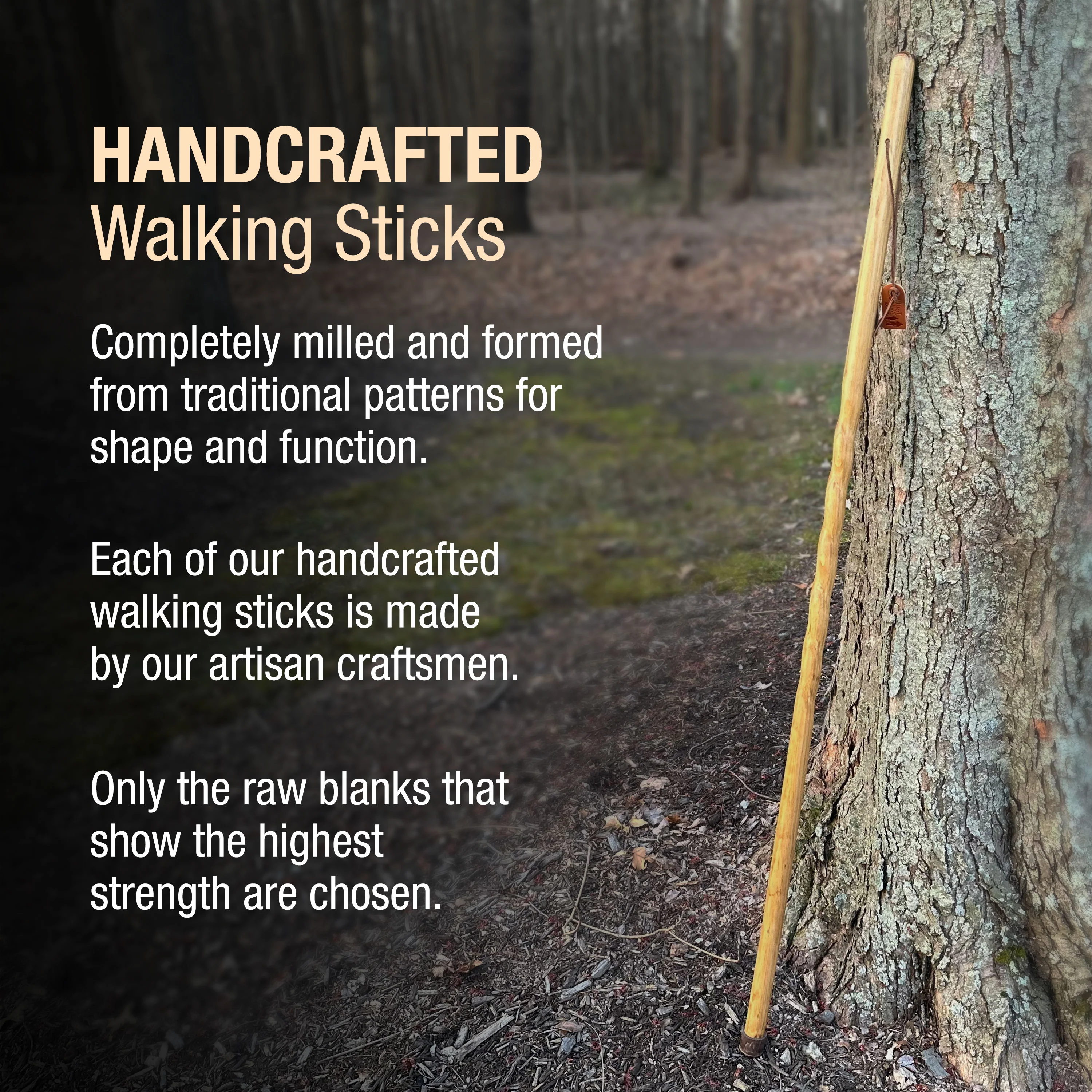 Twisted Pine Handcrafted Walking Stick 55" - Image 5