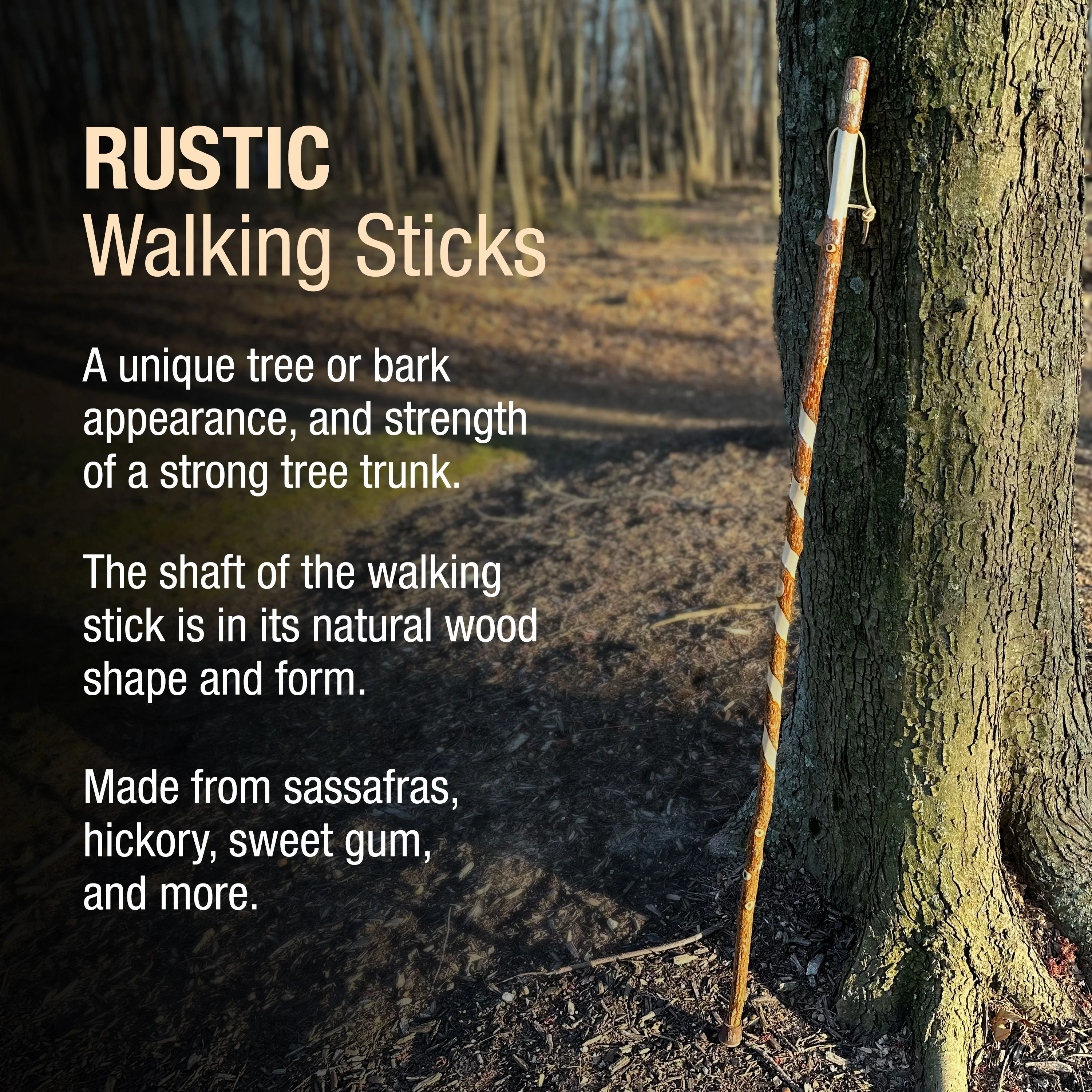 Twisted Sassafras Rustic Walking Stick - Image 3