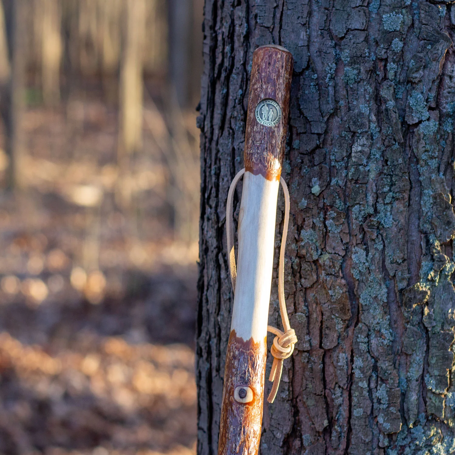 Twisted Sassafras Rustic Walking Stick - Image 6