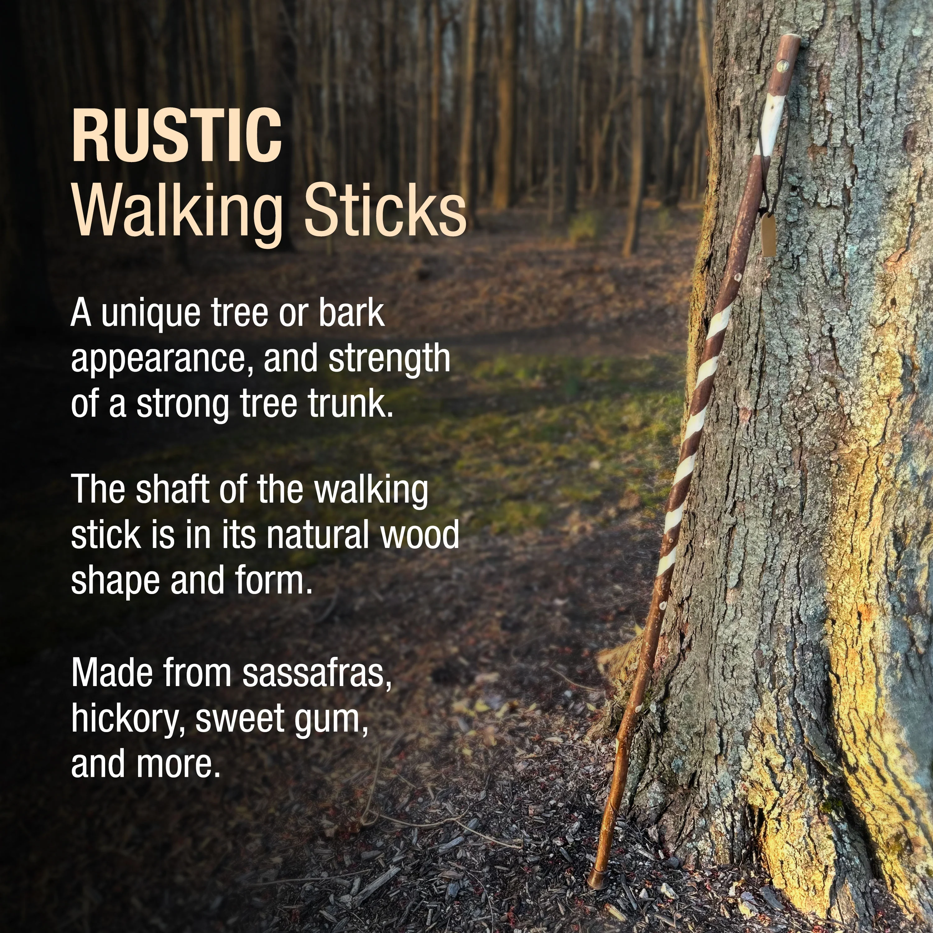 Twisted Sweet Gum Rustic Walking Stick - Image 3