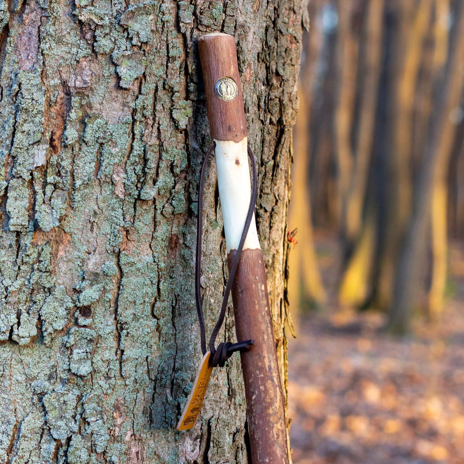 Twisted Sweet Gum Rustic Walking Stick - Image 6