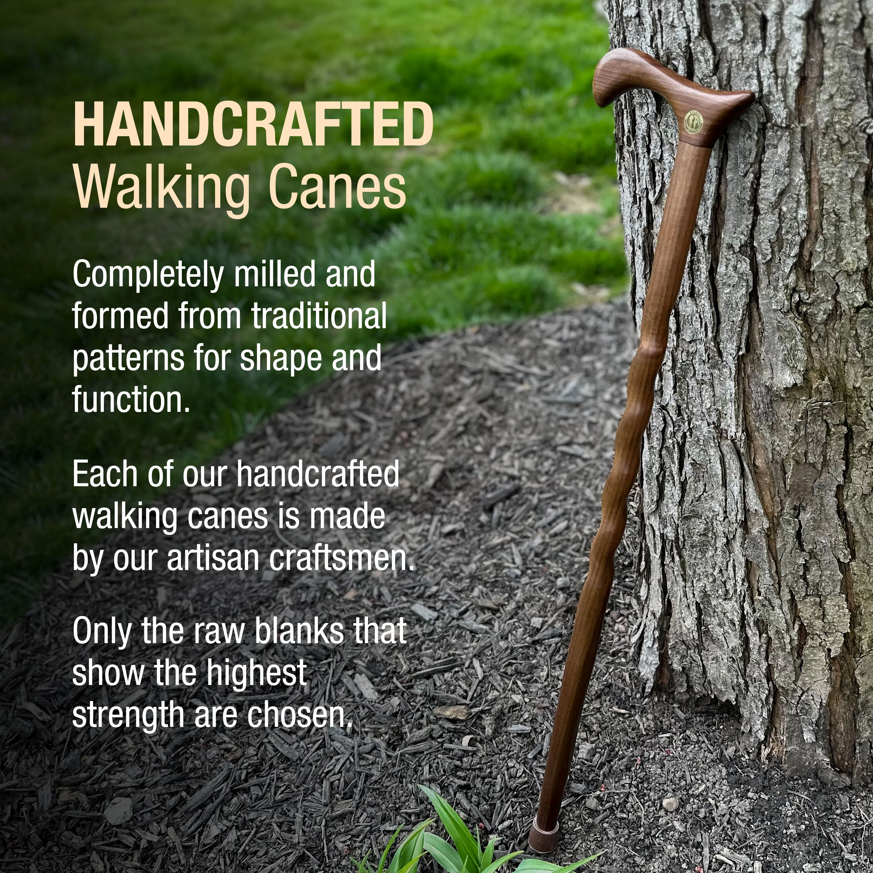 Twisted Walnut Derby Handcrafted Walking Cane 34" - Image 4